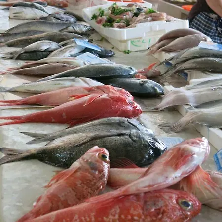 Apartmán Serenabeach *